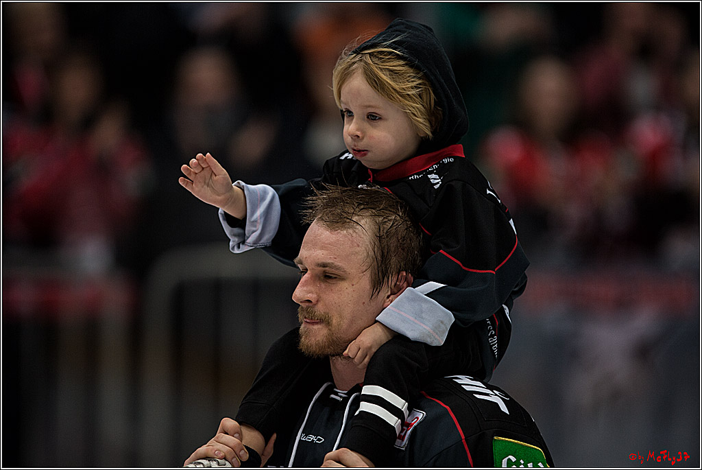 DEL, Koelner Haie - Fishtown Pinguins Bremerhaven, 29.01.2017